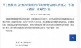 哈市旅游新闻爆料,探寻冰城秘境，解锁冬日风情