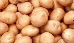 飘帅全集在线观看土豆,热血青春，激情燃烧的岁月