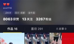 爆料视频怎么发布到抖音,轻松吸粉，引爆话题！