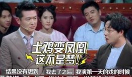 刘维爆料录音视频大全播放,揭秘娱乐圈幕后真相