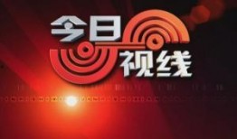 爆料今日视线新闻最新,揭秘最新爆料背后的真相