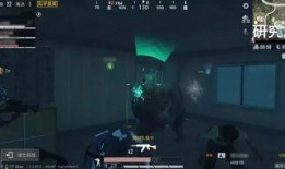 爆料新版和平精英视频,全新内容与玩法大曝光！