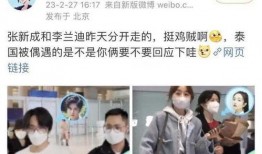 狗仔爆料李兰迪视频大全,李兰迪视频大全精彩瞬间大揭秘