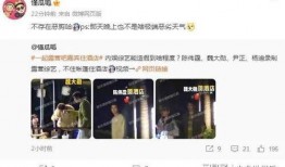 明星云集爆料视频大全,明星爆料视频大全精彩集锦