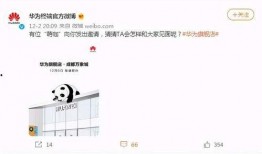 爆料新鲜大事件视频大全