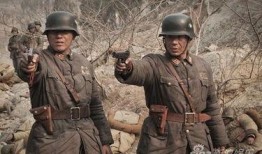 电视剧我的特一营全集在线观看,热血青春，战火中的青春传奇