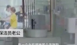 网友爆料上公厕违法吗视频,上公厕违法？视频引发社会热议