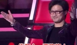 刘烨爆料汪峰视频大全,揭秘娱乐圈不为人知的一面