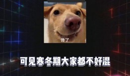 娱乐吃瓜 八卦图,明星幕后故事大起底