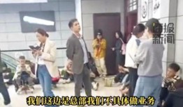 爆料香港旅游团视频播放,一场别开生面的文化之旅