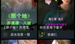 抖音热媒爆料怎么做视频,揭秘视频制作背后的秘密