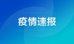 爆料社区每日广州新闻,每日爆料社区新闻概览