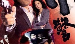 刑警2010电视剧在线观看,揭秘罪案背后的真相