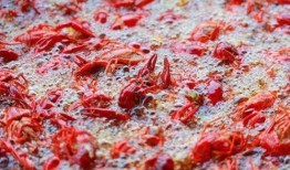 爆料蚌埠龙虾视频播放,海量观众共赏美食盛宴