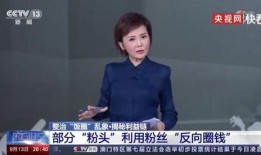 央视爆料粉条是真的吗视频,粉条真相大曝光，你吃的粉条是真的吗？