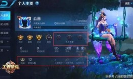 王者爆料兄弟怎么办啊视频,兄弟如何应对新版本挑战