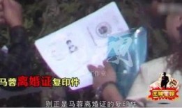 宋喆爆料刘亦菲视频播放,真相背后引人深思