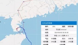 徐闻最新爆料,揭秘事件背后惊人真相
