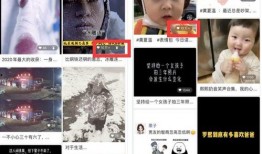 亮哥爆料直播视频下载免费,亮哥爆料视频免费下载全攻略