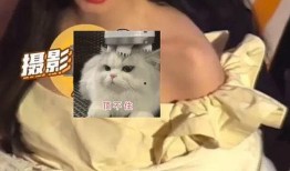 刘翔峰爆料人是谁呀视频,揭秘背后神秘爆料人身份