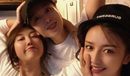 狗仔迷惑爆料视频大全集,揭秘娱乐圈幕后真相大揭秘