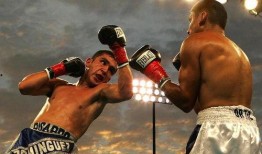 吃瓜娱乐拳击视频大全,吃瓜娱乐拳击视频大全精选集锦