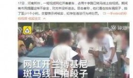 河南网红爆料新闻视频,揭秘新闻背后的真相