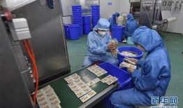 成都制药一厂爆料视频曝光,揭露行业黑幕与真相