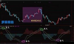 民间股神刘央爆料视频,独家爆料视频深度解析
