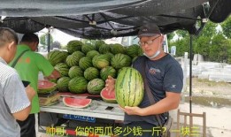 杭州网红打架吃瓜视频,一场网络直播间的“吃瓜”盛宴