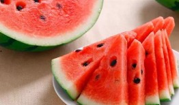 西瓜食堂爆料视频大全,揭秘校园美食背后的故事