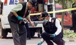 菲律宾爆料新闻最新事件,政坛丑闻引发社会热议