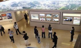 爆料香港旅游团视频播放,一场别开生面的文化之旅