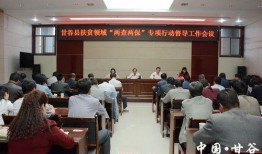 甘谷新闻爆料网最新,揭秘当地热点事件背后的真相