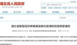 湖北爆料最新消息今天,突发事件引发社会关注